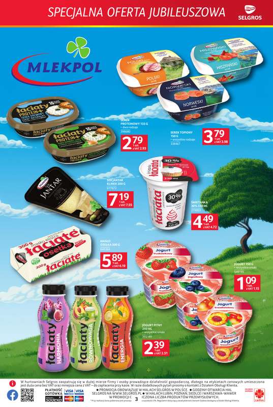 Selgros - gazetka promocyjna Specjalna oferta jubileuszowa od czwartku 02.07 do środy 15.07 - strona 3