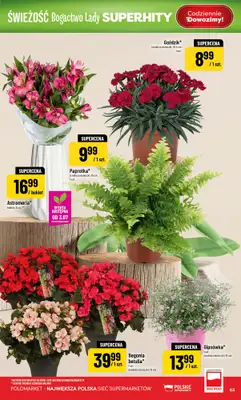 POLOmarket - gazetka promocyjna Gazetka od środy 01.07 do wtorku 07.07 - strona 63