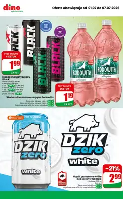Dino - gazetka promocyjna Najlepsze promocje! od środy 01.07 do wtorku 07.07 - strona 9