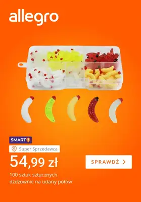 Allegro - gazetka promocyjna Jak na ryby, to z Allegro od wtorku 30.06 do poniedziałku 06.07 - strona 2