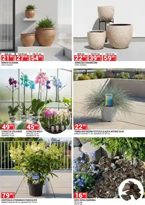 Merkury Market - gazetka promocyjna Gazetka Ogród od środy 01.07 do piątku 31.07 - strona 5