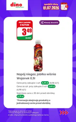 Dino - gazetka promocyjna Specjalna oferta na 01.07.2026 - promocje spoza gazetki od środy 01.07 do środy 01.07 - strona 6