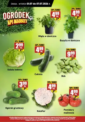 API Market - gazetka promocyjna Gazetka od środy 01.07 do wtorku 07.07 - strona 15