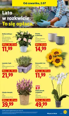 Lidl - gazetka promocyjna Oferta od czwartku od czwartku 02.07 do soboty 04.07 - strona 81