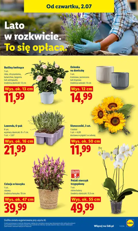 Lidl - gazetka promocyjna Oferta od czwartku od czwartku 02.07 do soboty 04.07 - strona 81