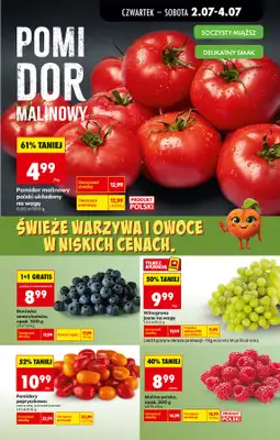Biedronka - gazetka promocyjna Od czwartku od czwartku 02.07 do środy 08.07 - strona 17