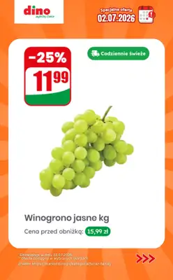 Dino - gazetka promocyjna Specjalna oferta na 02.07.2026 - promocje spoza gazetki od czwartku 02.07 do czwartku 02.07 - strona 6