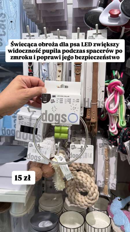 Pepco - gazetka promocyjna Zakupowe Inspiracje w Pepco od czwartku 02.07  - strona 4