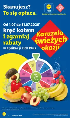 Lidl - gazetka promocyjna Oferta od czwartku od czwartku 02.07 do soboty 04.07 - strona 46