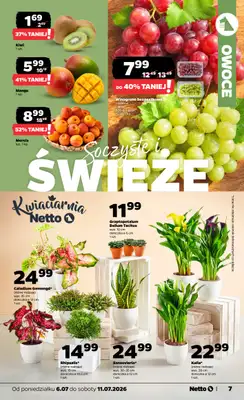 Netto - gazetka promocyjna Gazetka Spożywcza od poniedziałku 06.07 do soboty 11.07 - strona 7