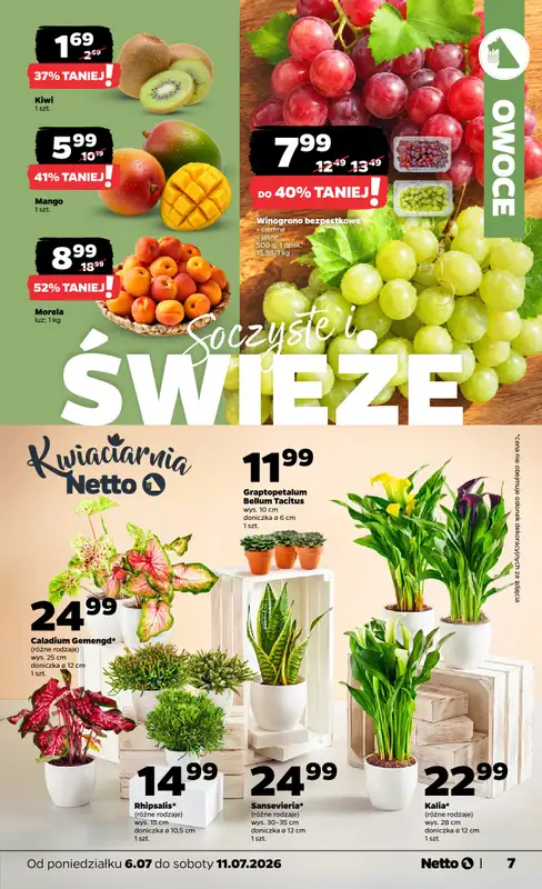 Netto - gazetka promocyjna Gazetka Spożywcza od poniedziałku 06.07 do soboty 11.07 - strona 7