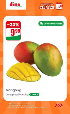 Dino - gazetka promocyjna Specjalna oferta na 03.07.2026 - promocje spoza gazetki od piątku 03.07 do piątku 03.07 - strona 4