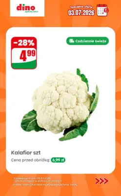 Dino - gazetka promocyjna Specjalna oferta na 03.07.2026 - promocje spoza gazetki od piątku 03.07 do piątku 03.07 - strona 2