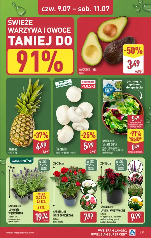 Aldi - gazetka promocyjna Pełny katalog! od poniedziałku 06.07 do soboty 11.07 - strona 37