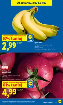 Lidl - gazetka promocyjna Oferta od czwartku od czwartku 02.07 do soboty 04.07 - strona 19