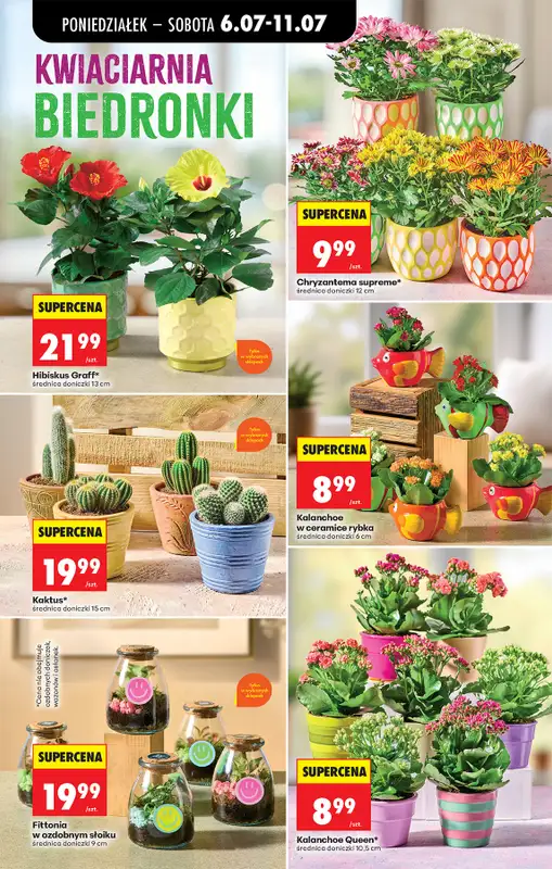 Biedronka - gazetka promocyjna Od poniedziałku od poniedziałku 06.07 do soboty 11.07 - strona 22