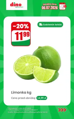 Dino - gazetka promocyjna Specjalna oferta na 06.07.2026 - promocje spoza gazetki od poniedziałku 06.07 do poniedziałku 06.07 - strona 8