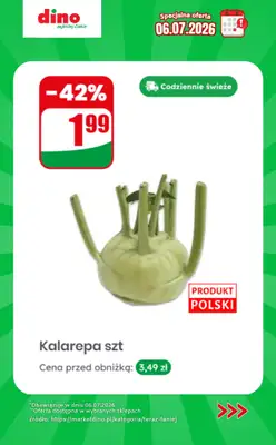 Dino - gazetka promocyjna Specjalna oferta na 06.07.2026 - promocje spoza gazetki od poniedziałku 06.07 do poniedziałku 06.07 - strona 10