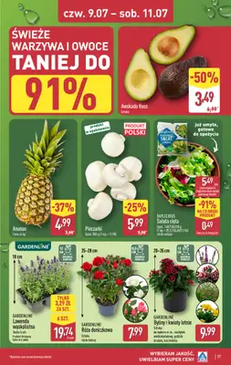 Aldi - gazetka promocyjna Pełny katalog! od poniedziałku 06.07 do soboty 11.07 - strona 37