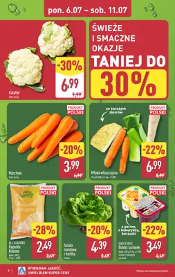 Aldi - gazetka promocyjna Pełny katalog! od poniedziałku 06.07 do soboty 11.07 - strona 8