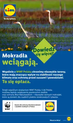Lidl - gazetka promocyjna Oferta od poniedziałku od poniedziałku 06.07 do środy 08.07 - strona 89