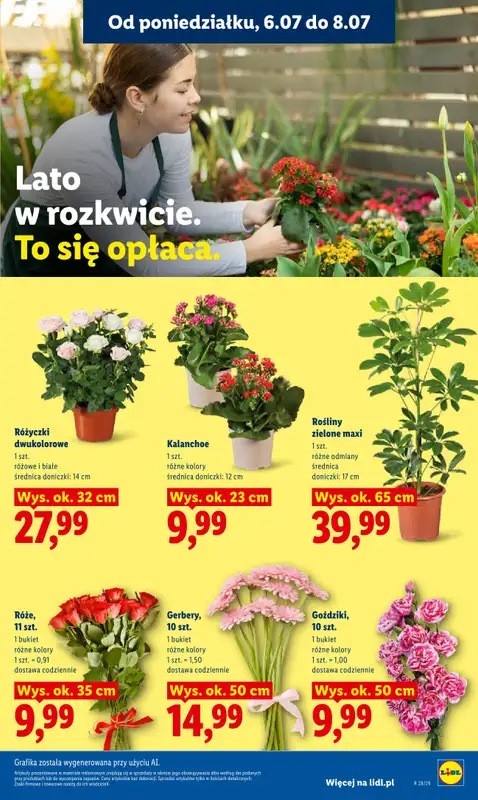 Lidl - gazetka promocyjna Oferta od poniedziałku od poniedziałku 06.07 do środy 08.07 - strona 87