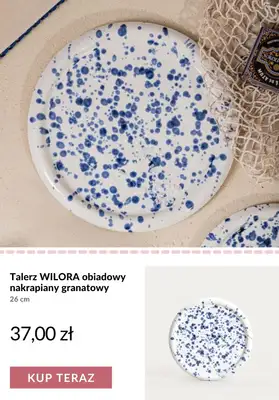 Homla - gazetka promocyjna Talerze - różne rodzaje od poniedziałku 06.07  - strona 6