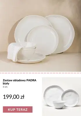 Homla - gazetka promocyjna Talerze - różne rodzaje od poniedziałku 06.07  - strona 9
