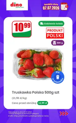 Dino - gazetka promocyjna Specjalna oferta na 07.07.2026 - promocje spoza gazetki od wtorku 07.07 do wtorku 07.07 - strona 3