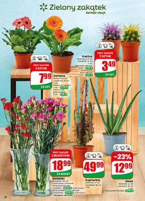 Dino - gazetka promocyjna Gazetka 28 / 2026 od środy 08.07 do wtorku 14.07 - strona 56