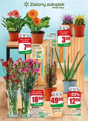 Dino - gazetka promocyjna Gazetka 28 / 2026 od środy 08.07 do wtorku 14.07 - strona 56