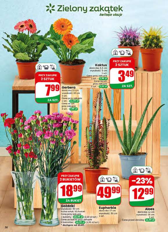 Dino - gazetka promocyjna Gazetka 28 / 2026 od środy 08.07 do wtorku 14.07 - strona 56