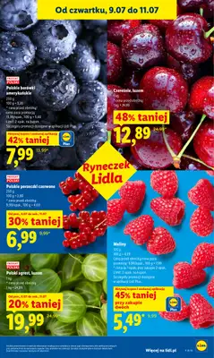 Lidl - gazetka promocyjna Oferta od czwartku od czwartku 09.07 do soboty 11.07 - strona 43