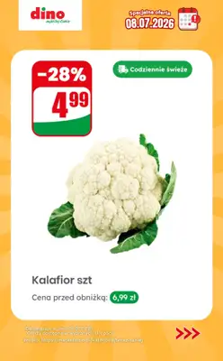 Dino - gazetka promocyjna Specjalna oferta na 08.07.2026 - promocje spoza gazetki od środy 08.07 do środy 08.07 - strona 2