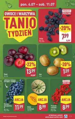 Aldi - gazetka promocyjna Pełny katalog! od poniedziałku 06.07 do soboty 11.07 - strona 9