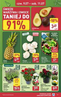 Aldi - gazetka promocyjna Pełny katalog! od poniedziałku 06.07 do soboty 11.07 - strona 37
