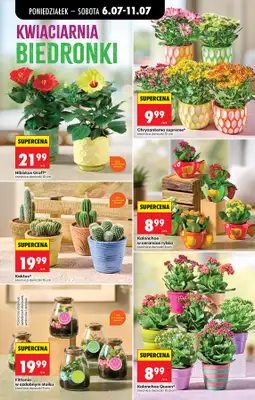 Biedronka - gazetka promocyjna Od poniedziałku od poniedziałku 06.07 do soboty 11.07 - strona 22