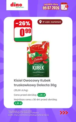 Dino - gazetka promocyjna Specjalna oferta na 09.07.2026 - promocje spoza gazetki od czwartku 09.07 do czwartku 09.07 - strona 10