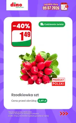 Dino - gazetka promocyjna Specjalna oferta na 09.07.2026 - promocje spoza gazetki od czwartku 09.07 do czwartku 09.07 - strona 2
