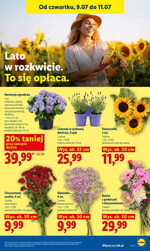 Lidl - gazetka promocyjna Oferta od czwartku od czwartku 09.07 do soboty 11.07 - strona 85