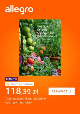 Allegro - gazetka promocyjna Czas na relaks bez ekranu od piątku 10.07 do piątku 17.07 - strona 2