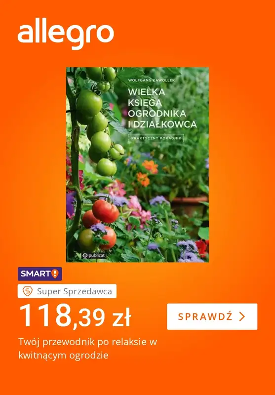 Allegro - gazetka promocyjna Czas na relaks bez ekranu od piątku 10.07 do piątku 17.07 - strona 2