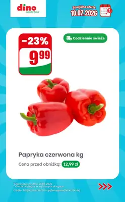 Dino - gazetka promocyjna Specjalna oferta na 10.07.2026 - promocje spoza gazetki od piątku 10.07 do piątku 10.07 - strona 8