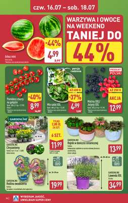 Aldi - gazetka promocyjna Pełny katalog! od poniedziałku 13.07 do soboty 18.07 - strona 36