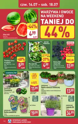 Aldi - gazetka promocyjna Pełny katalog! od poniedziałku 13.07 do soboty 18.07 - strona 36