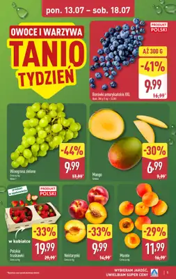 Aldi - gazetka promocyjna Pełny katalog! od poniedziałku 13.07 do soboty 18.07 - strona 5