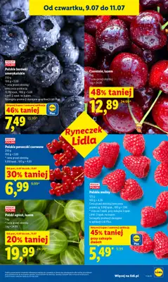 Lidl - gazetka promocyjna Oferta od czwartku od czwartku 09.07 do soboty 11.07 - strona 43