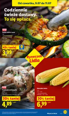 Lidl - gazetka promocyjna Oferta od czwartku od czwartku 09.07 do soboty 11.07 - strona 47
