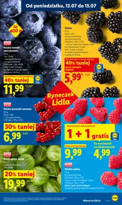 Lidl - gazetka promocyjna Oferta od poniedziałku od poniedziałku 13.07 do środy 15.07 - strona 41