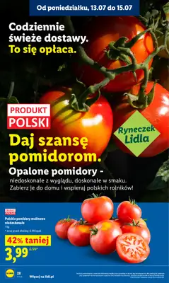 Lidl - gazetka promocyjna Oferta od poniedziałku od poniedziałku 13.07 do środy 15.07 - strona 42